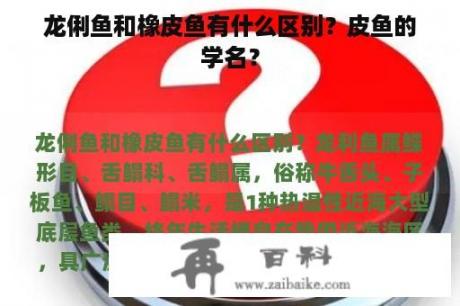 龙俐鱼和橡皮鱼有什么区别？皮鱼的学名？