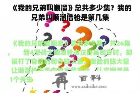 《我的兄弟叫顺溜》总共多少集？我的兄弟叫顺溜借枪是第几集