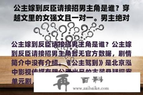 公主嫁到反臣请接招男主角是谁？穿越文里的女强文且一对一。男主绝对忠诚的！有哪些？