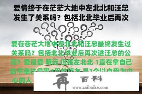 爱情终于在茫茫大地中左北北和汪总发生了关系吗？包括北北毕业后再次进入汪总的公司？爱在茫茫大地电视剧网上免费观看