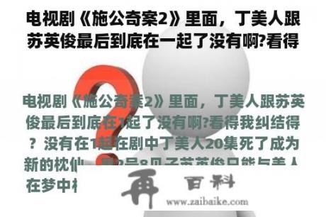 电视剧《施公奇案2》里面，丁美人跟苏英俊最后到底在一起了没有啊?看得我纠结得？施公奇案第二部国语全集