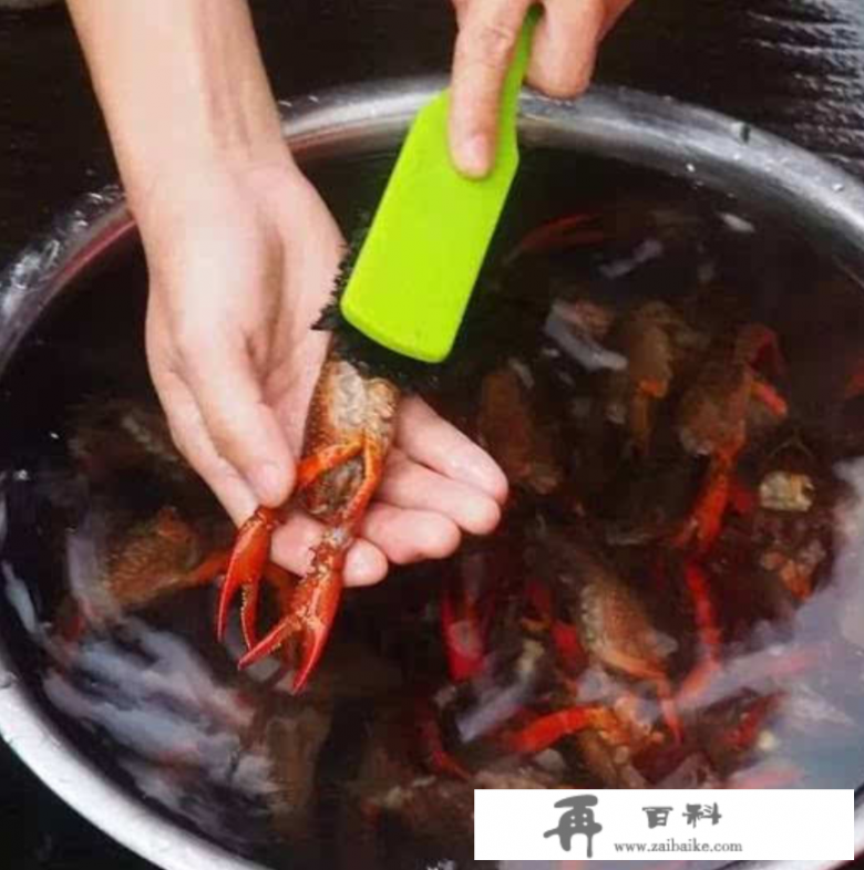 水煮龙虾的正确方法？水煮小龙虾怎么做？