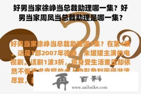 好男当家徐峥当总裁助理哪一集？好男当家周凤当总裁助理是哪一集？