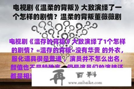 电视剧《温柔的背叛》大致演绎了一个怎样的剧情？温柔的背叛董薇薇剧情