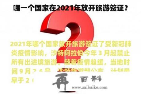 哪一个国家在2021年放开旅游签证？