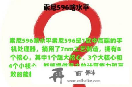 索尼596啥水平