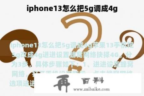 iphone13怎么把5g调成4g