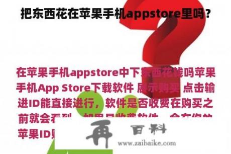 把东西花在苹果手机appstore里吗？