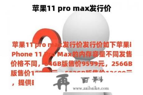 苹果11 pro max发行价