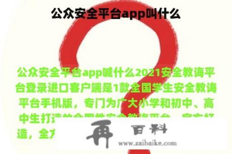 公众安全平台app叫什么