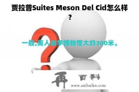 贾拉普Suites Meson Del Cid怎么样？