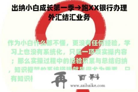 出纳小白成长第一季→跑XX银行办理外汇结汇业务