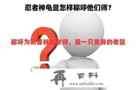 忍者神龟是怎样称呼他们师？