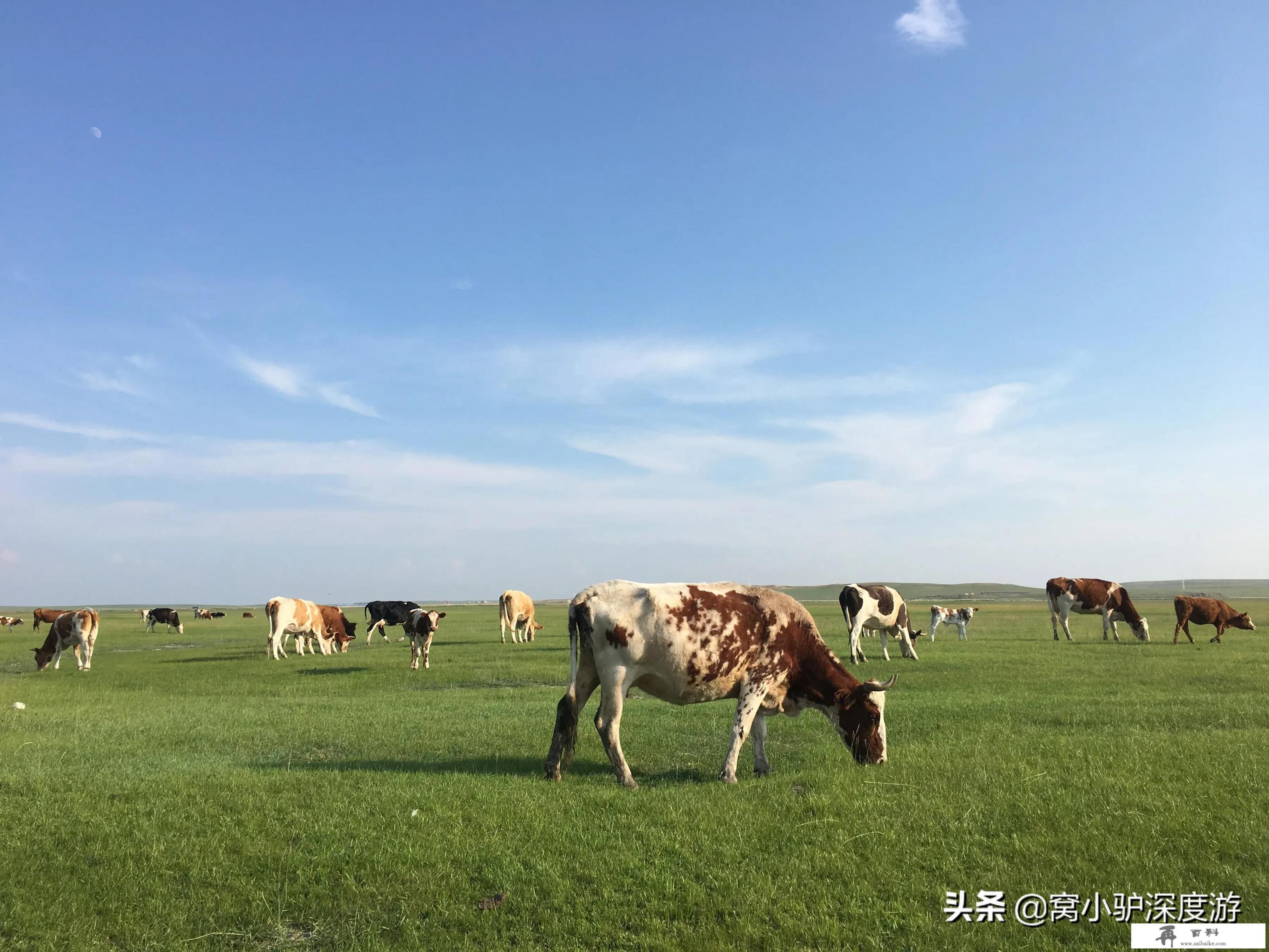 和妈妈一起旅行是种怎样的体验