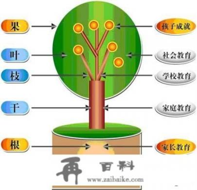 你觉得最好的家庭教育是什么呢