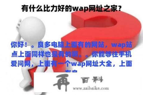 有什么比力好的wap网址之家？