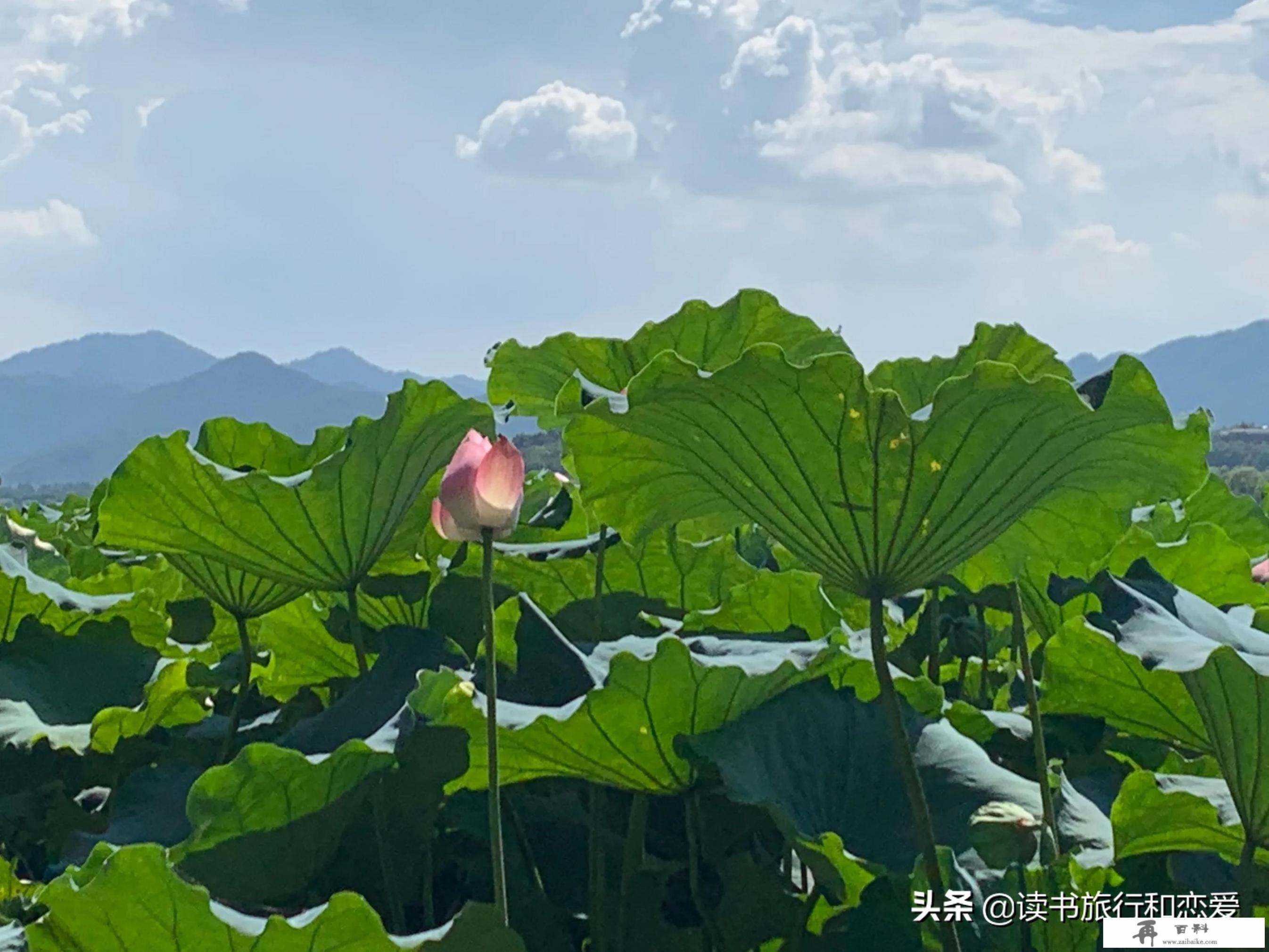 感觉近几年来到杭州西湖旅游的人每天都那么多，西湖到底有什么特别令人留恋的呢