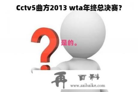 Cctv5曲方2013 wta年终总决赛？