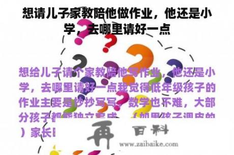 想请儿子家教陪他做作业，他还是小学，去哪里请好一点