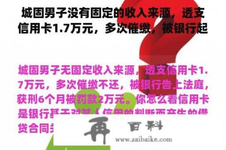 城固男子没有固定的收入来源，透支信用卡1.7万元，多次催缴，被银行起诉，6个月被罚款2万元。你觉得怎么样