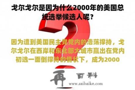 戈尔戈尔是因为什么2000年的美国总统选举候选人呢？