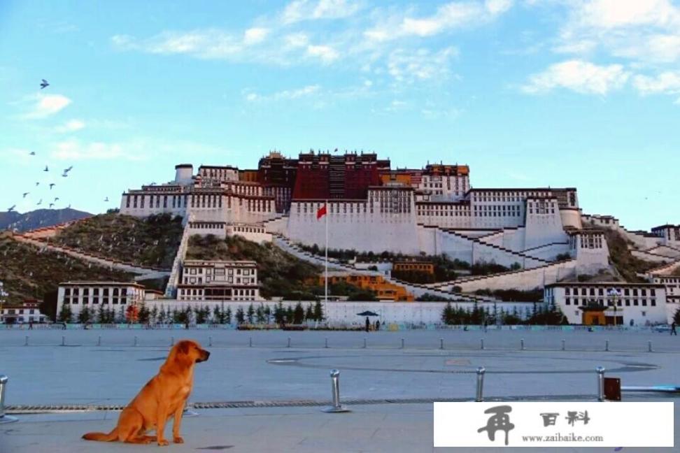 本人家住内蒙古巴彦淖尔市，想自驾去西藏玩，有哪些旅游攻略