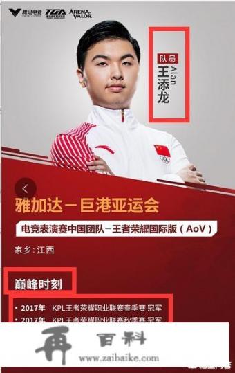 如何看待《王者荣耀》亚运会ALAN的宣传海报中，巅峰时刻没有2018年冠军杯冠军纪录
