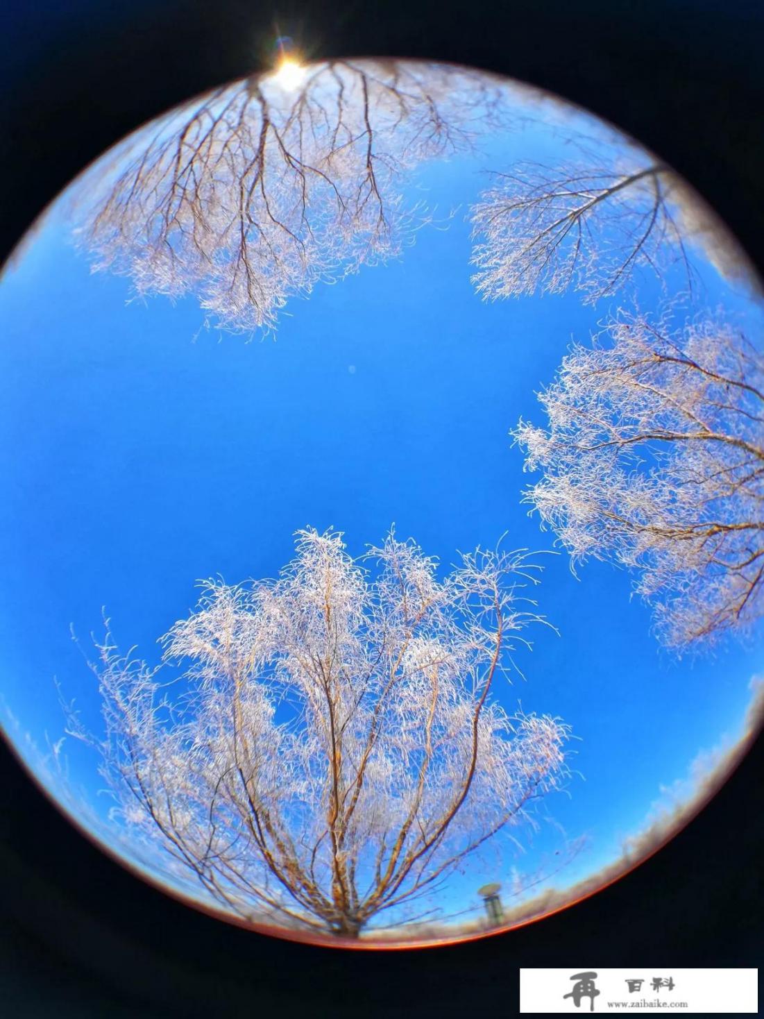 在冬天，你们那里的雪景美吗？可以分享一下吗