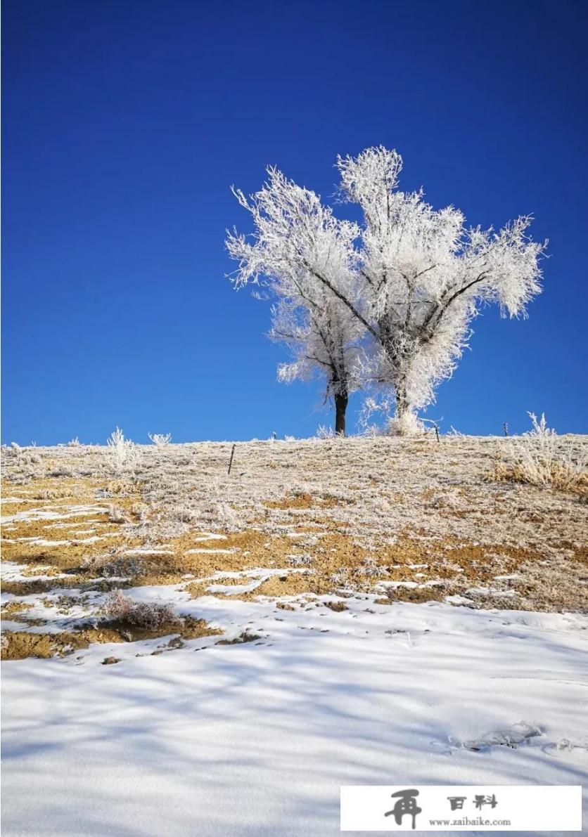 在冬天，你们那里的雪景美吗？可以分享一下吗