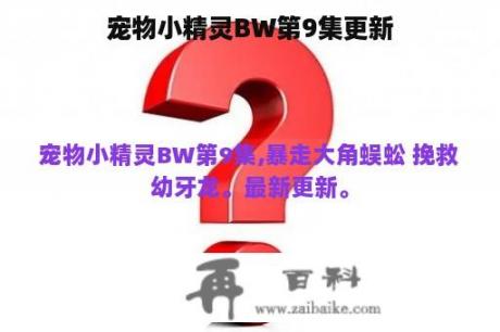 宠物小精灵BW第9集更新