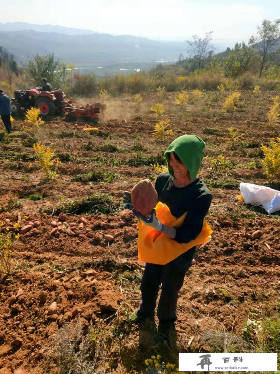 乡村振兴会流转大量耕地吗？失地的农民有哪些出路