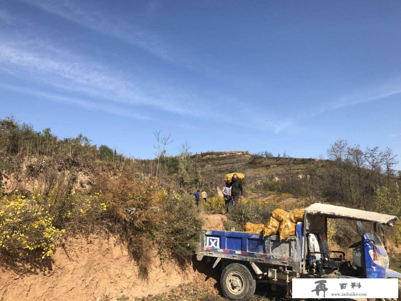 乡村振兴会流转大量耕地吗？失地的农民有哪些出路