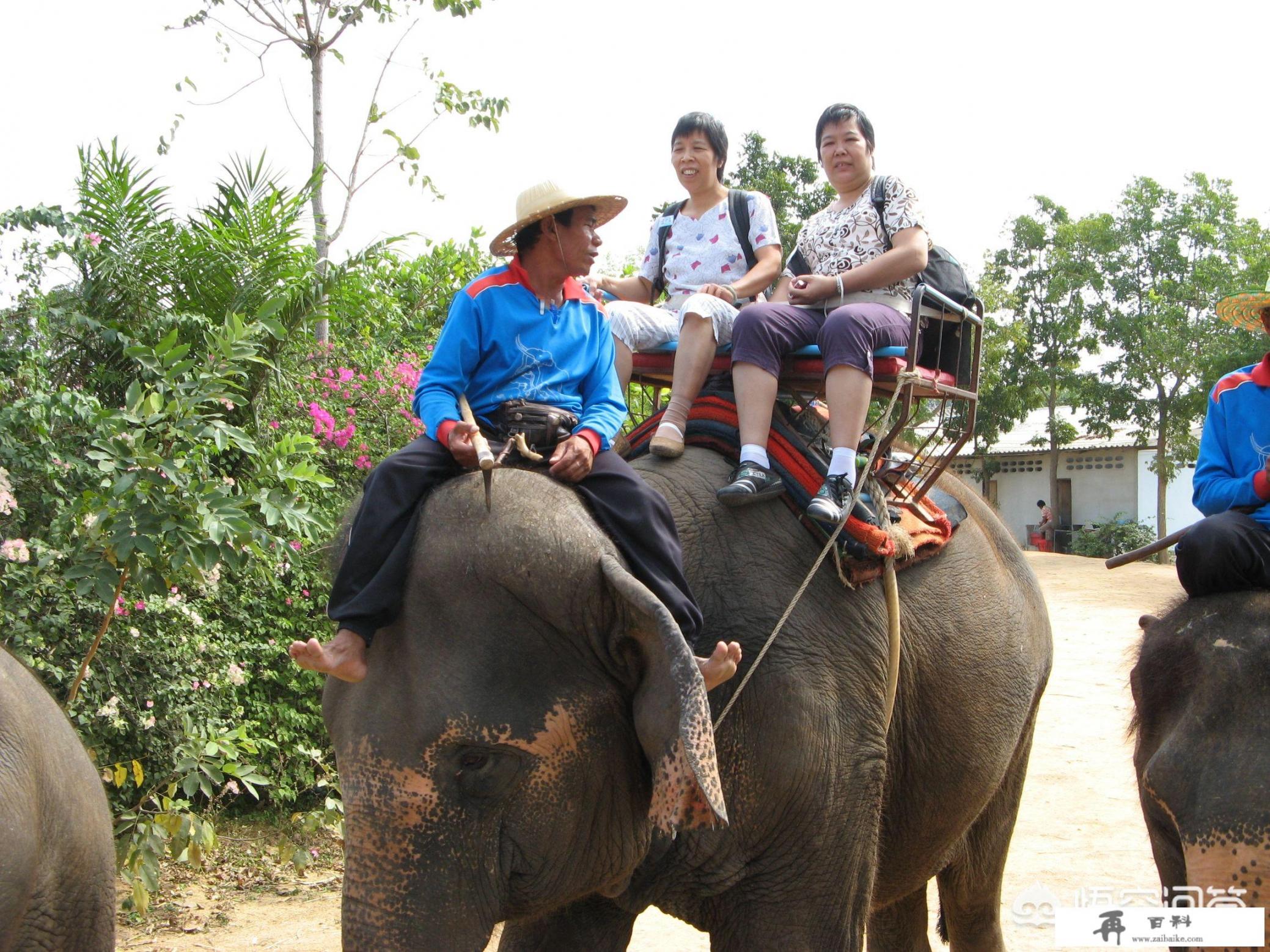 跟团去曼谷芭提雅旅游，被强制自费，该怎么处理