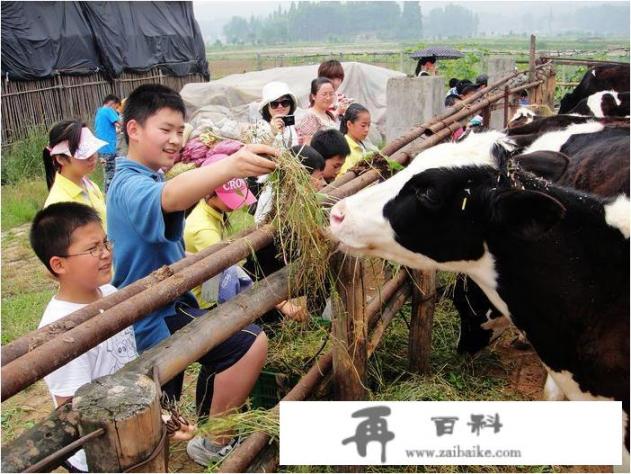 农村开发旅游对当地农民有哪些影响