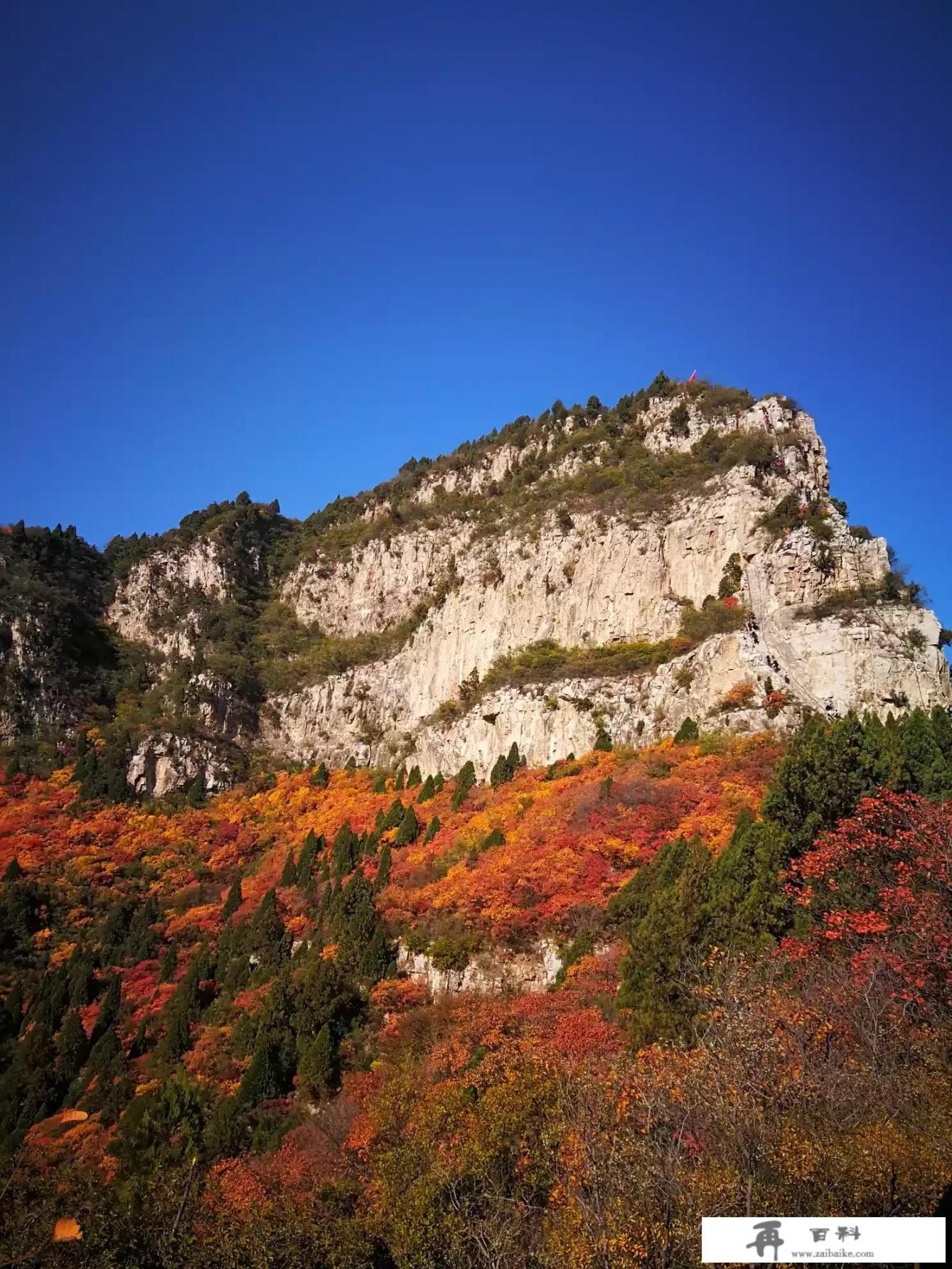 你是坐车出去旅游，还是开车出去旅游？为什么