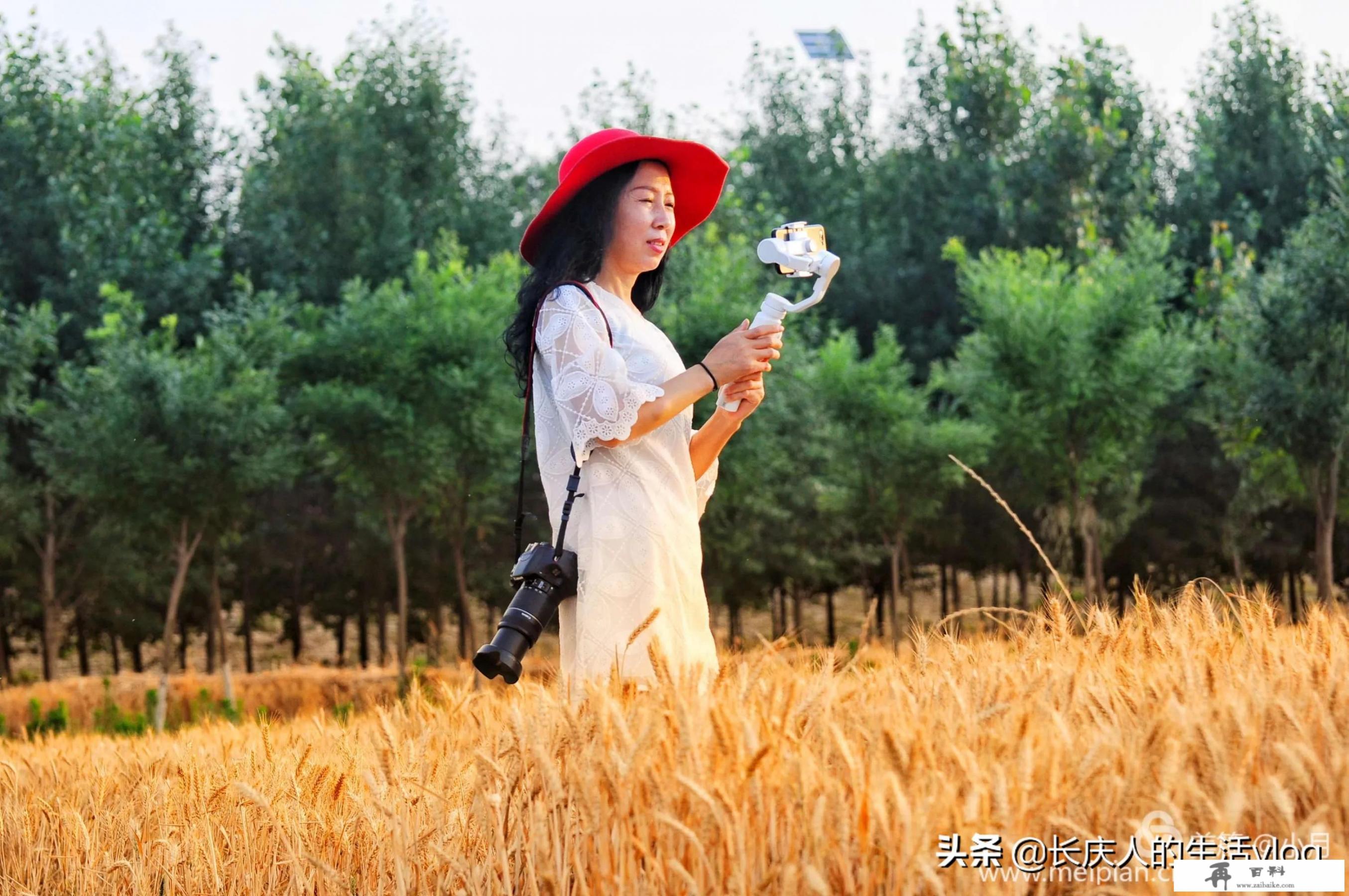 你认为旅游业未来的发展趋势将会如何_如何看待我国旅游市场的现状和发展趋势