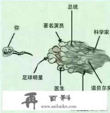 初二辍学可以上技校吗_技校辍学了可以去初三复读吗