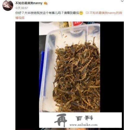 《英雄联盟》职业战队RNG食堂“首次”曝光，Uzi深夜常吃“蝎子”料理，有没有毒呢_如果一个人死的时候如果正在做梦，他会不会一直在梦境里