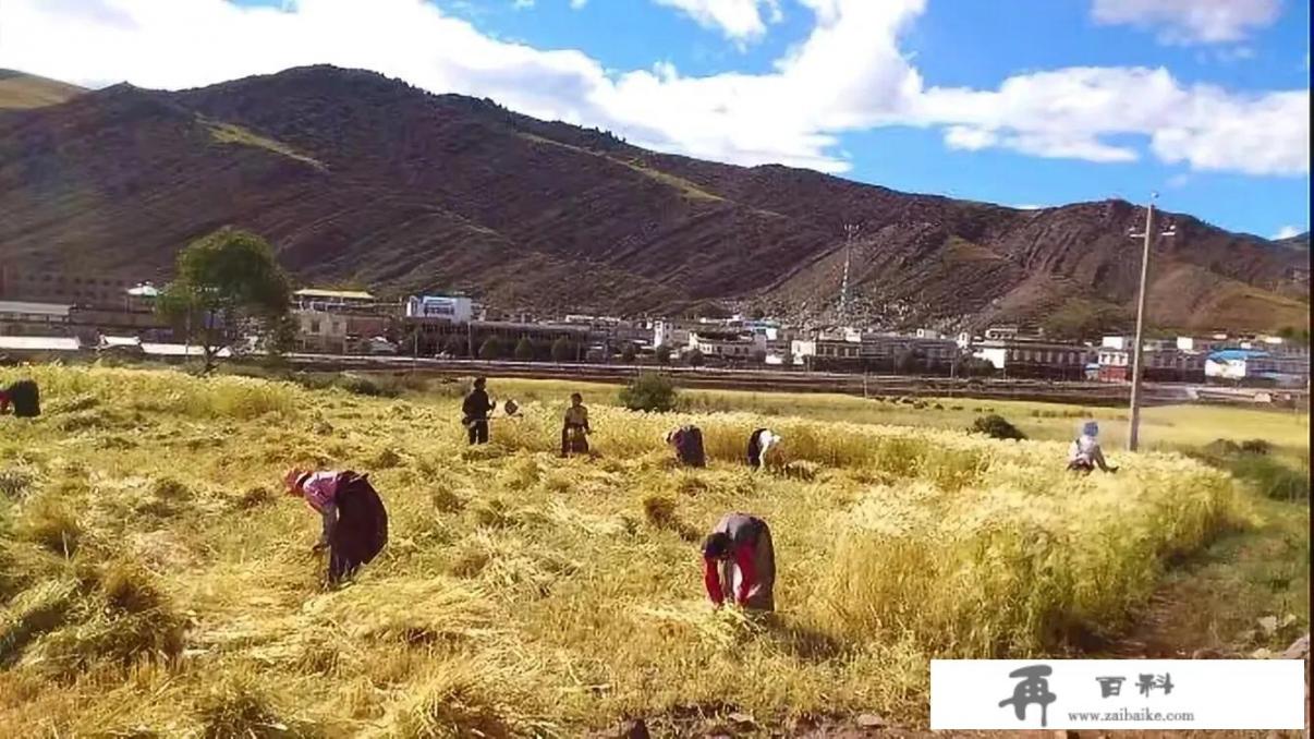 第一次去西藏要注意什么吗_来拉萨旅游