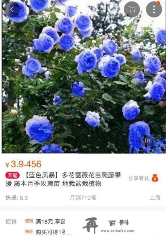 网购植物靠谱吗_你的手机里都有哪些APP？有什么好的分享