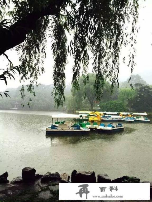 女主叫宋无欢是什么小说_最近全国各地都进入了“雨状态”，最喜欢哪首描写夏雨的诗词，为什么