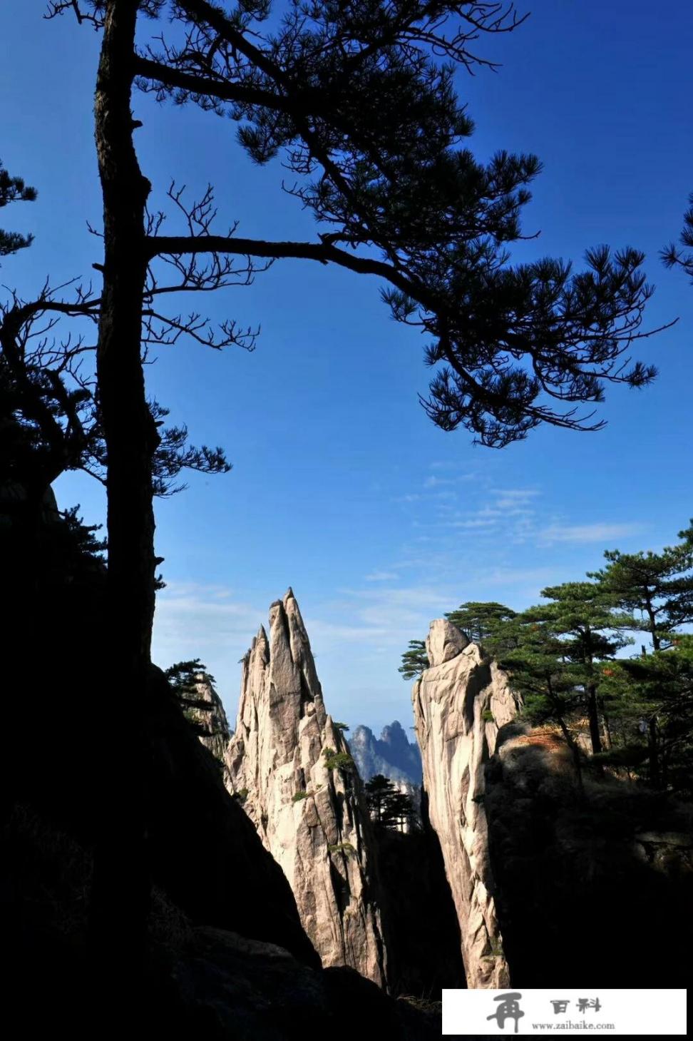 从事旅游行业，投资旅行社未来发展前景如何_新疆旅游目前的前景怎么样