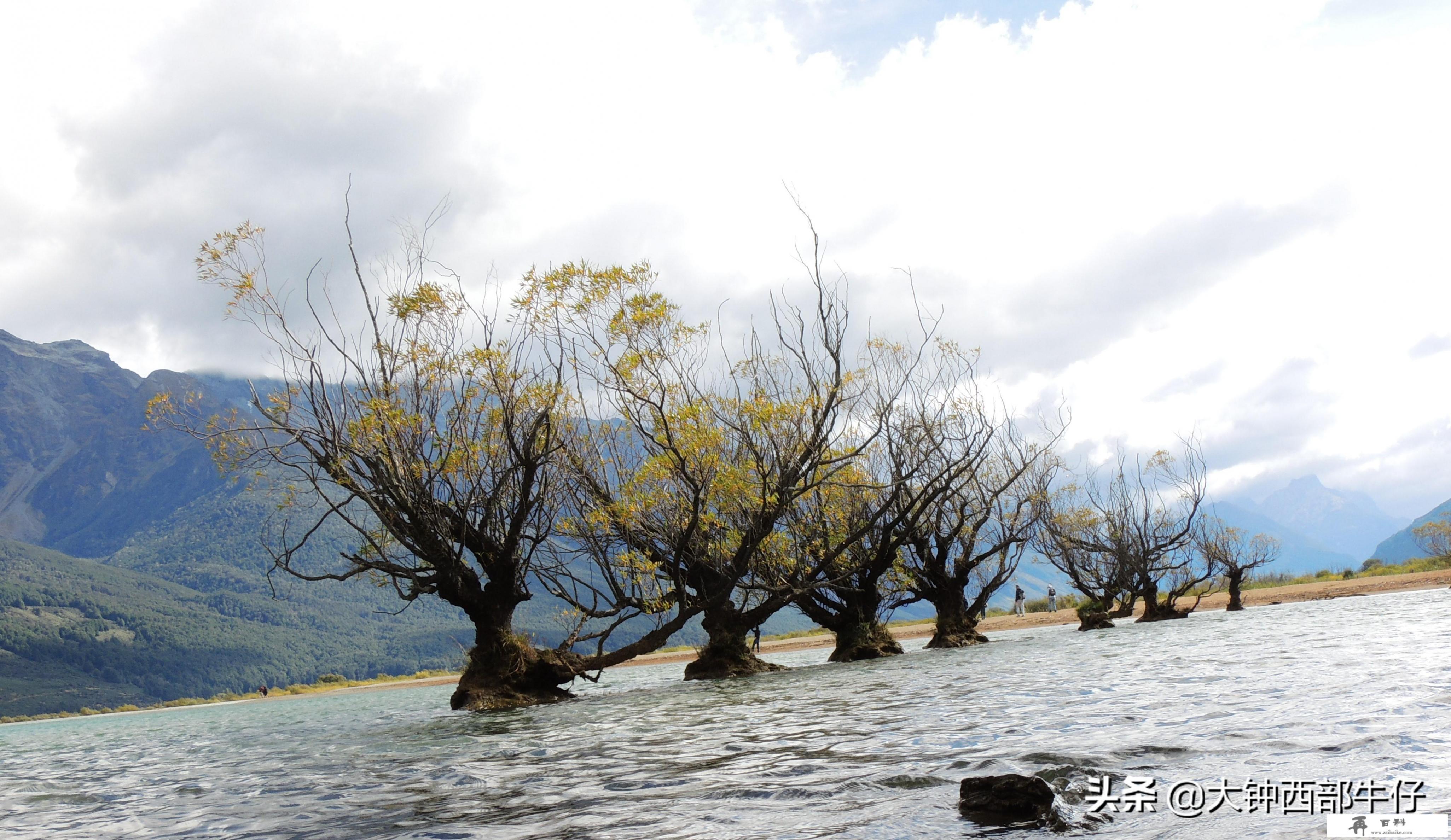 你认为什么是旅行_你认为旅行和旅游有何不同