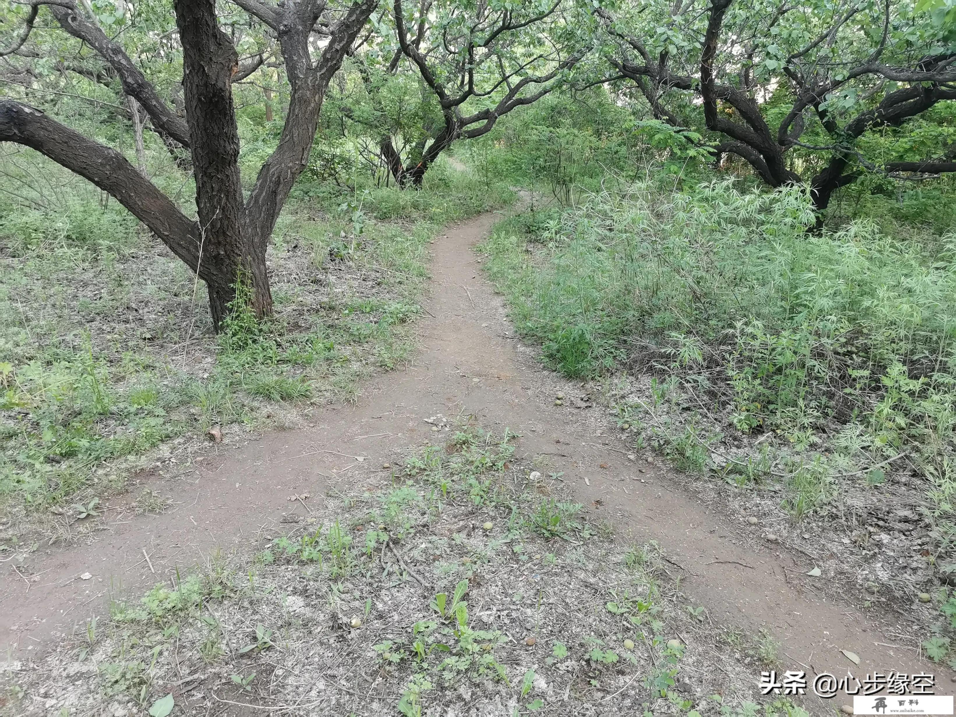 好想背起行囊去一个陌生的地方旅行，离开纷扰的世俗圈，你有吗_穷庐民宿旅游攻略