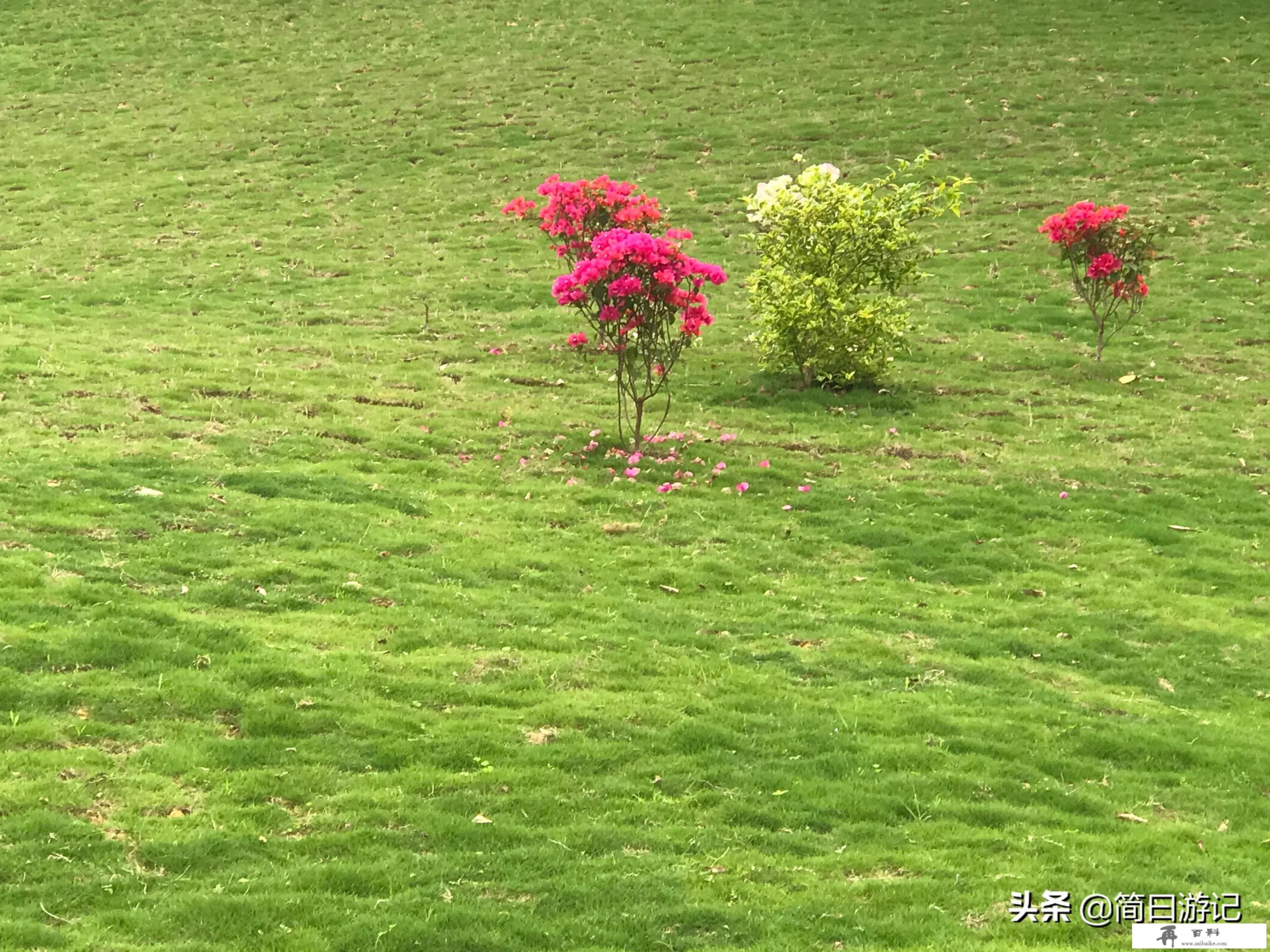 旅行和旅游哪个更有意义_跟异性一起出去旅游是一种怎样的体验