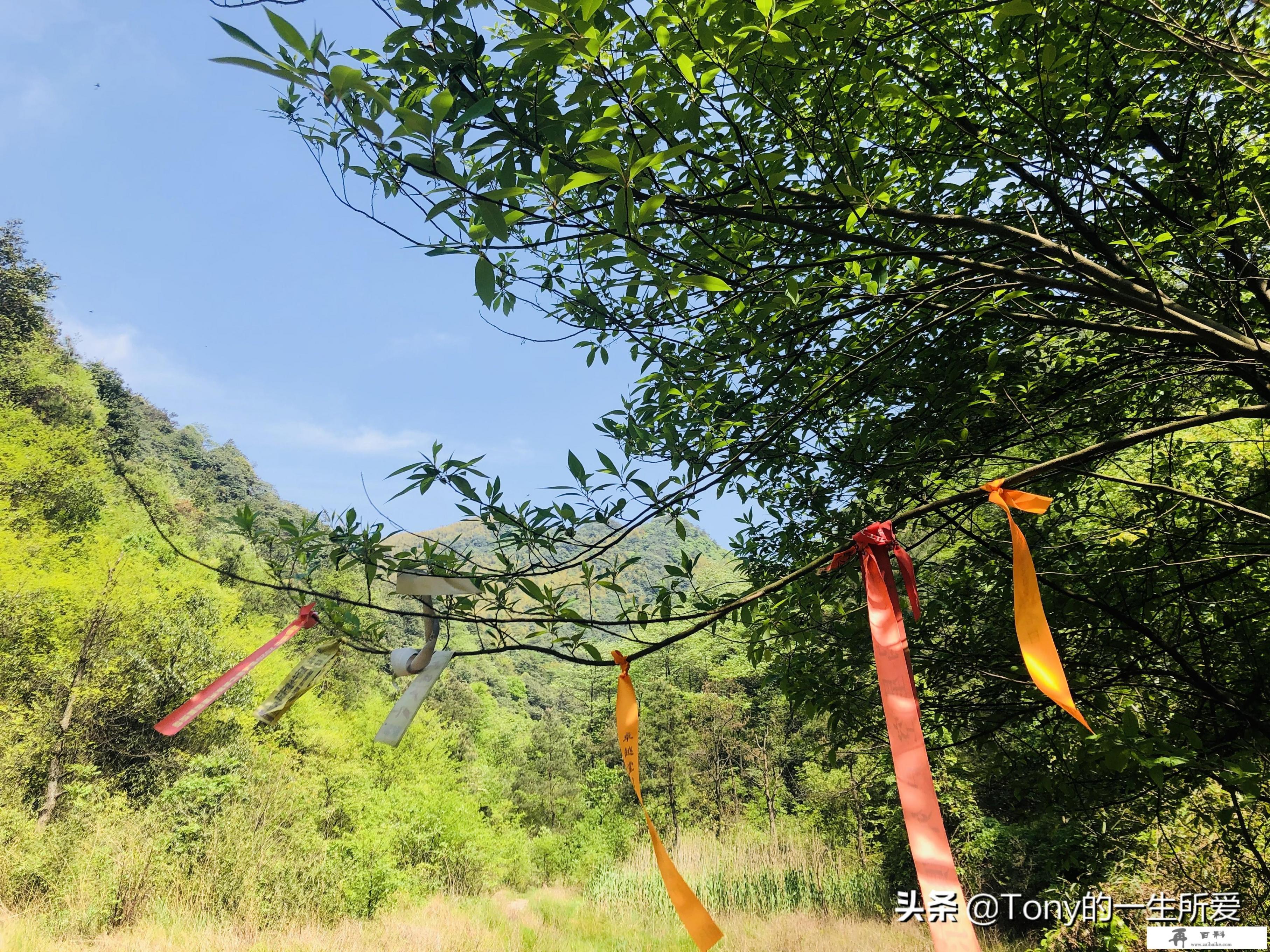 跟团旅游，对于导游的二次消费（购物和自费）你怎么看_旅游业赖以生存和发展的三大要素你知道是什么吗