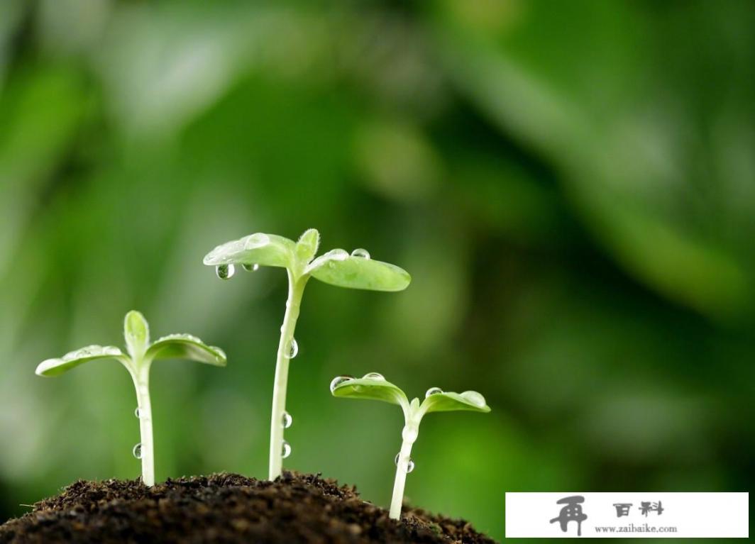 疫情期间培训机构都是怎么招生的呢_要开个教育培训机构，注册公司好还是学校好?起个什么名字呢?要大气的好记的