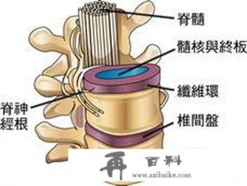 校园时期的暧昧，你有吗_腰椎膨出坚持吊单杠真的有用吗