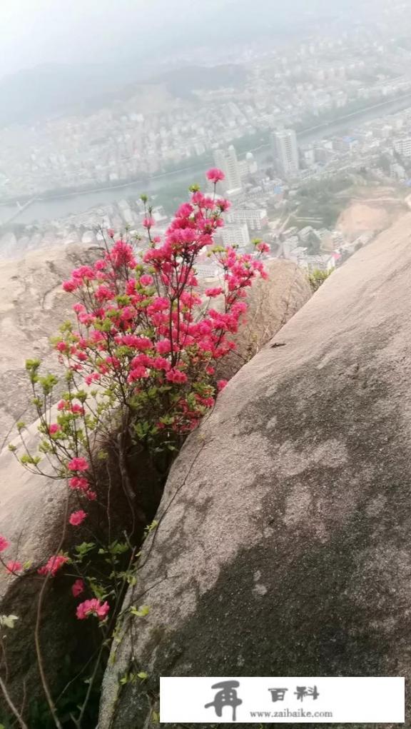 有山有水、景色优美的地方都是哪些_你最喜欢的全国十大旅行目的地，有哪些