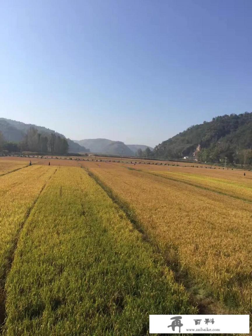 你旅行去过哪里？分享下你旅行去过的地方_女儿想带70岁老爹去旅行，吃住方便吗